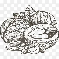 手绘食物线稿-空若网 手绘食物线稿-空若网