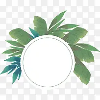 ��ɫ��Ҷ���ֱ߿�-������