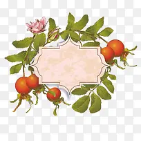 矢量植物边框-空若网 矢量植物边框-空若网