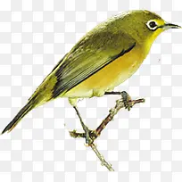 �ֻ�ˮ������С��-������