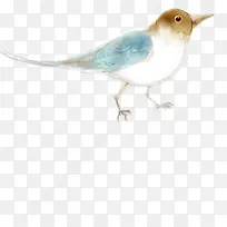 卡通手绘可爱小鸟-空若网 卡通手绘可爱小鸟-空若网