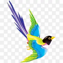 手绘彩色小鸟卡片-空若网 手绘彩色小鸟卡片-空若网