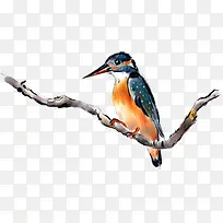 手绘可爱水墨小鸟-空若网 手绘可爱水墨小鸟-空若网