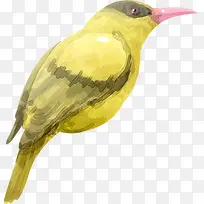 手绘小鸟创意插画-空若网 手绘小鸟创意插画-空若网