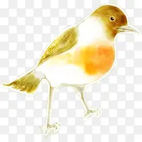 手绘可爱彩色小鸟-空若网 手绘可爱彩色小鸟-空若网