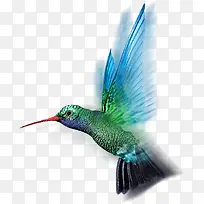 �ֻ���ɫ���С��-������