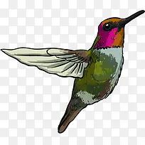 手绘彩色卡通小鸟-空若网 手绘彩色卡通小鸟-空若网