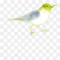 手绘黄色水彩小鸟-空若网 手绘黄色水彩小鸟-空若网
