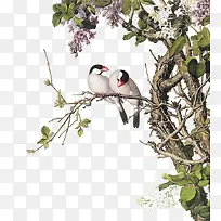 树枝上的小鸟手绘插画-空若网 树枝上的小鸟手绘插画-空若网