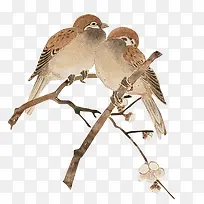 手绘棕色可爱小鸟-空若网 手绘棕色可爱小鸟-空若网