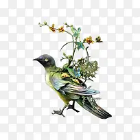 手绘水彩小鸟素材-空若网 手绘水彩小鸟素材-空若网