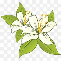 手绘花朵-空若网 手绘花朵-空若网