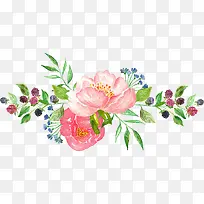 水彩牡丹-空若网 水彩牡丹-空若网