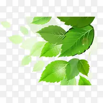 ʸ���ֻ���Ҷ-������