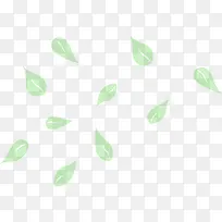 绿叶漂浮-空若网 绿叶漂浮-空若网