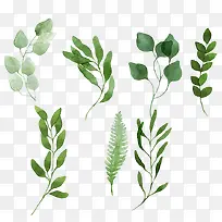 �ֻ�С����Ҷ-������