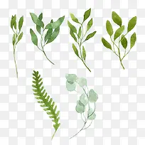 手绘小草树叶-空若网 手绘小草树叶-空若网