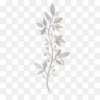 Ư��ֲ��-������