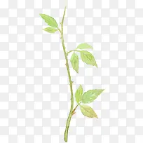 漂浮树枝-空若网 漂浮树枝-空若网