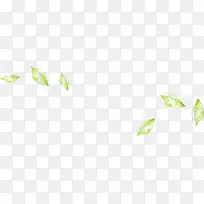 ��ҶƯ��-������