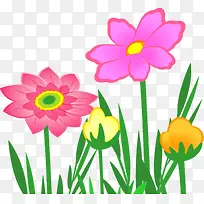 手绘插画植物花朵绿叶-空若网 手绘插画植物花朵绿叶-空若网