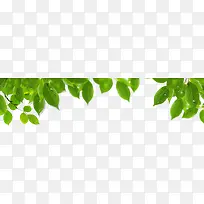 手绘自然春季绿叶树枝-空若网 手绘自然春季绿叶树枝-空若网