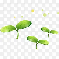 手绘绿叶发芽-空若网 手绘绿叶发芽-空若网