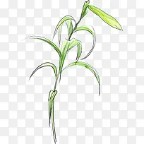 手绘绿叶创意卡片-空若网 手绘绿叶创意卡片-空若网