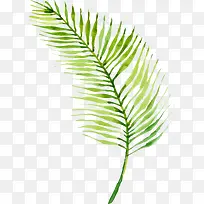 高清手绘插画绿叶-空若网 高清手绘插画绿叶-空若网