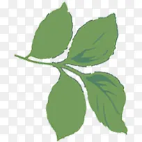 �ֻ���Ҷʱ�к���-������