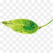 手绘绿叶创意海报-空若网 手绘绿叶创意海报-空若网