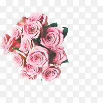 高清摄影手绘花朵绿叶-空若网 高清摄影手绘花朵绿叶-空若网