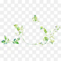 �ֻ���Ҷ-������