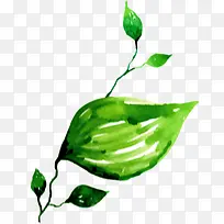 �ֻ���ɫˮ����Ҷ-������