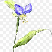 手绘蓝色水彩小花绿叶-空若网 手绘蓝色水彩小花绿叶-空若网