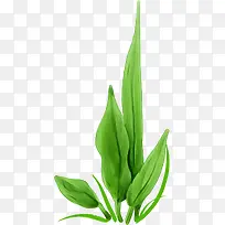 �ֻ��̲�-������