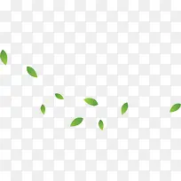 绿叶漂浮-空若网 绿叶漂浮-空若网