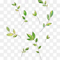 树叶漂浮-空若网 树叶漂浮-空若网