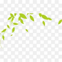 ��ҶƯ��-������