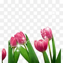 �ɰ�������-������