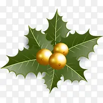 �ֻ�ʥ������Ҷ����װ��-������