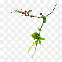 �ֻ�ɰ���ҶС��-������