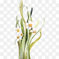 手绘白色小花绿叶-空若网 手绘白色小花绿叶-空若网