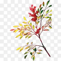 手绘红色小花绿叶树枝-空若网 手绘红色小花绿叶树枝-空若网