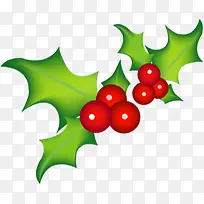 手绘圣诞节绿叶装饰-空若网 手绘圣诞节绿叶装饰-空若网