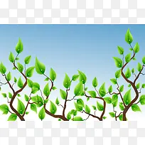 ��ɫҶ�ӱ���-������