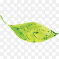 �ֻ�廭������Ҷ-������