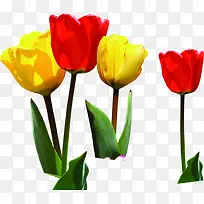 手绘花朵绿叶彩色-空若网 手绘花朵绿叶彩色-空若网