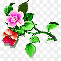 �ֻ�ˮ�ʻ�����Ҷ-������