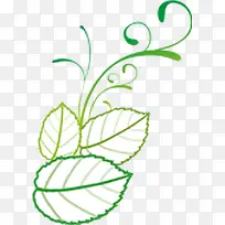 手绘绿草绿叶装饰-空若网 手绘绿草绿叶装饰-空若网